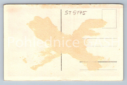 Postcard HLUBOKÁ NAD VLTAVOU - HALL IN THE HUNTING CASTLE (ST5175)