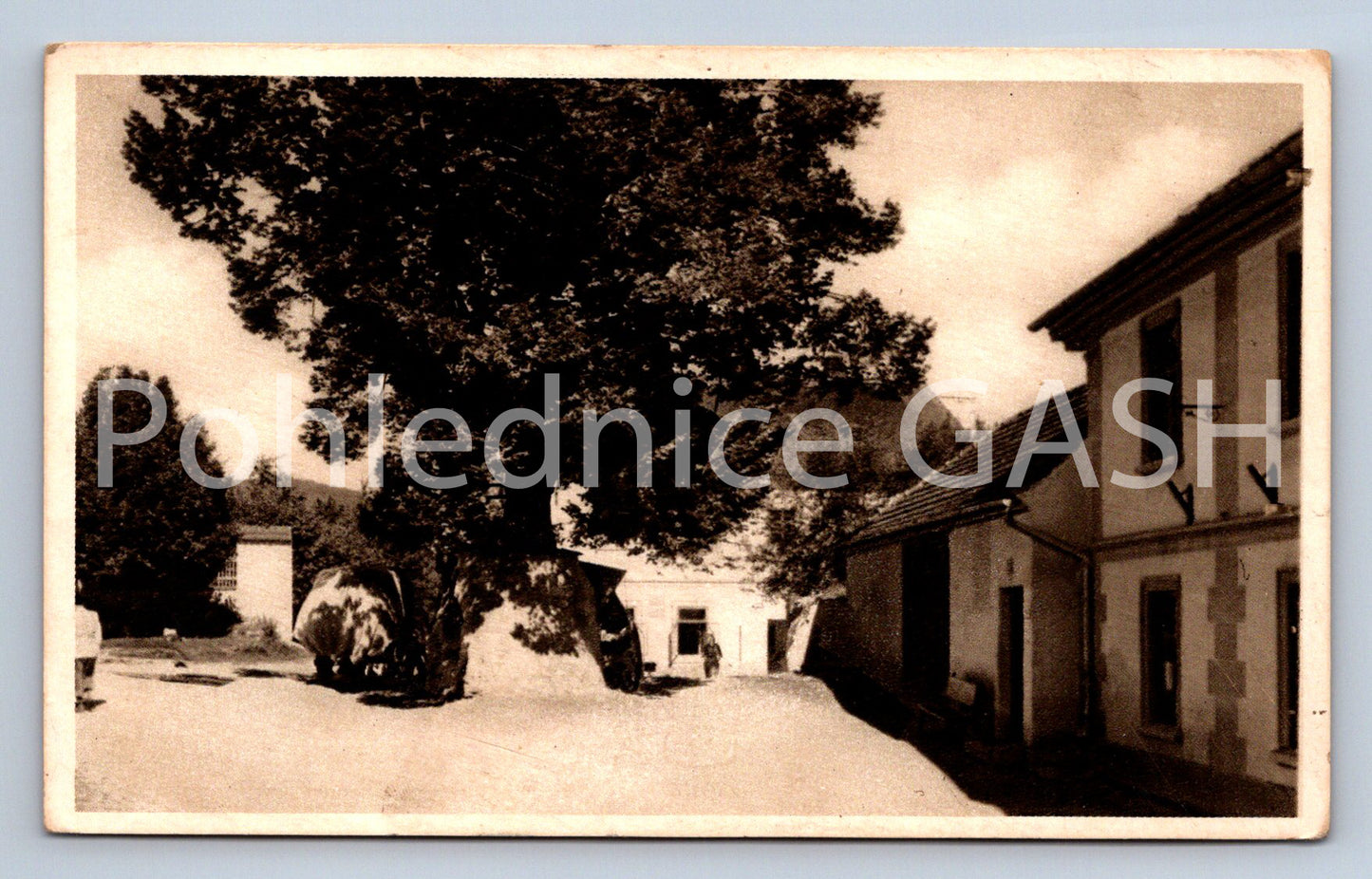 Postcard GOLDEN CROWN (ST5185)