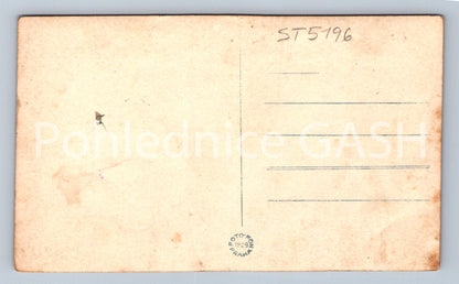 Postcard ZVÍKOV (ST5196)