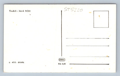 Postcard DESIRE (ST5220)