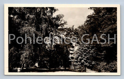 Postcard DESIRE (ST5220)