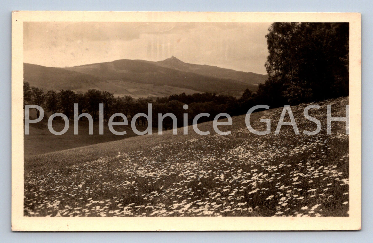 Postcard ŠUMAVA (ST5232)