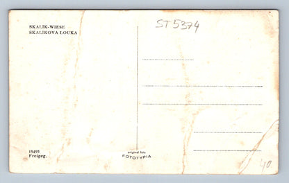 Pohlednice SKALÍKOVA LOUKA (ST5374)