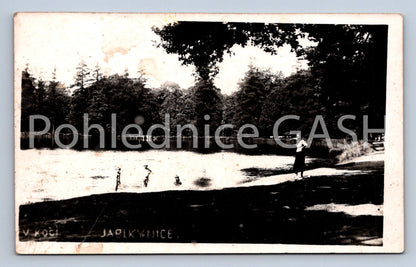 Pohlednice JABLKYNICE (ST5455)