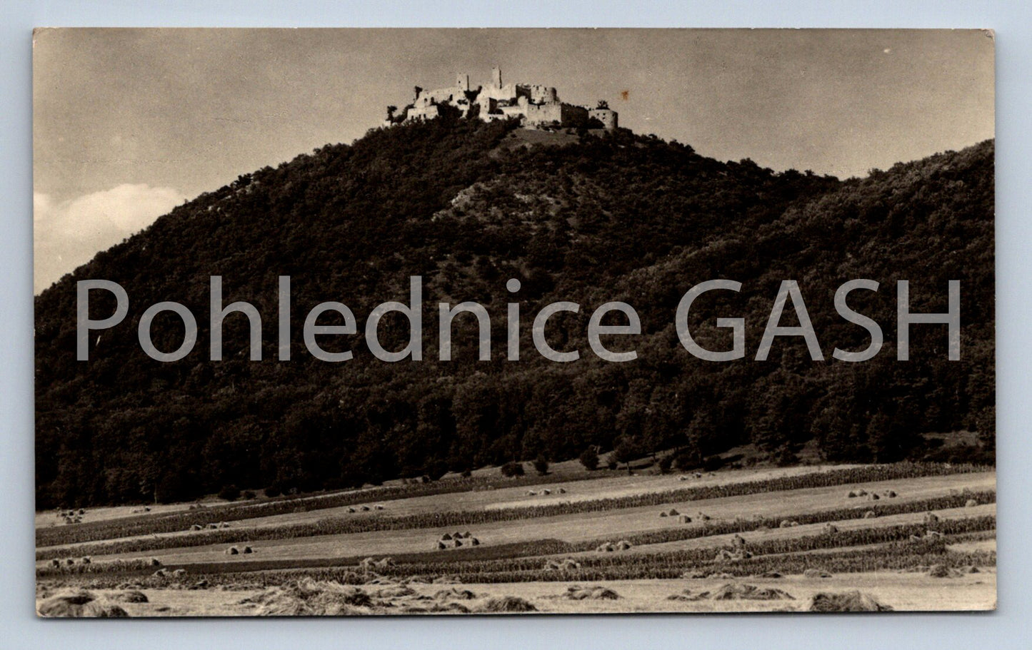 Pohlednice PLAVECKÝ HRAD (ST5511)