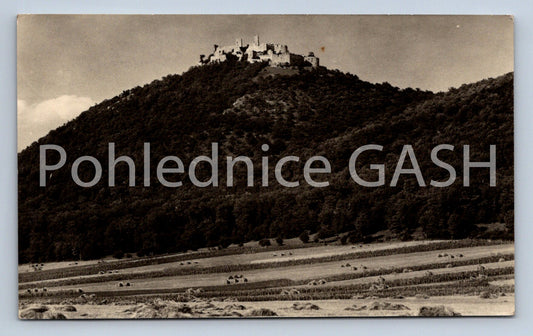 Pohlednice PLAVECKÝ HRAD (ST5511)