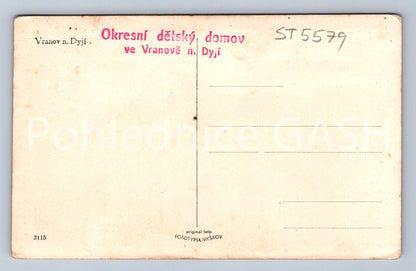 Postcard VRANOV NAD DYJÍ (ST5579)