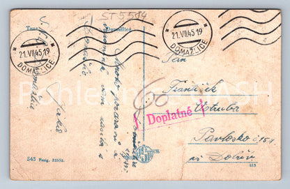 Postcard HOUSEWIFE (ST5584)