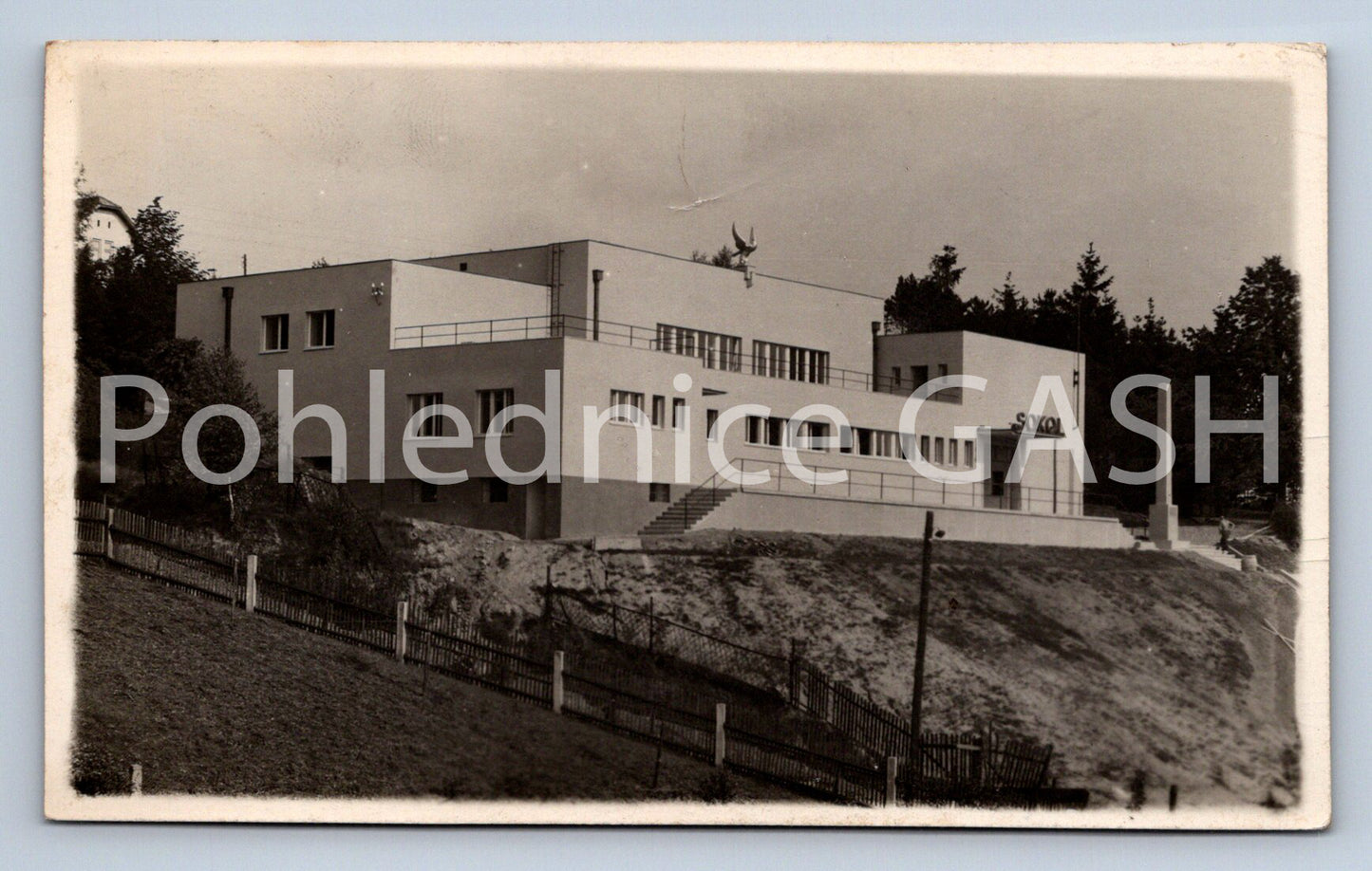 Postcard FALCON (ST5662)