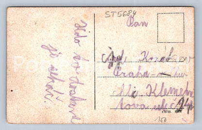 Postcard BAVARIAN FOREST (ST5684)