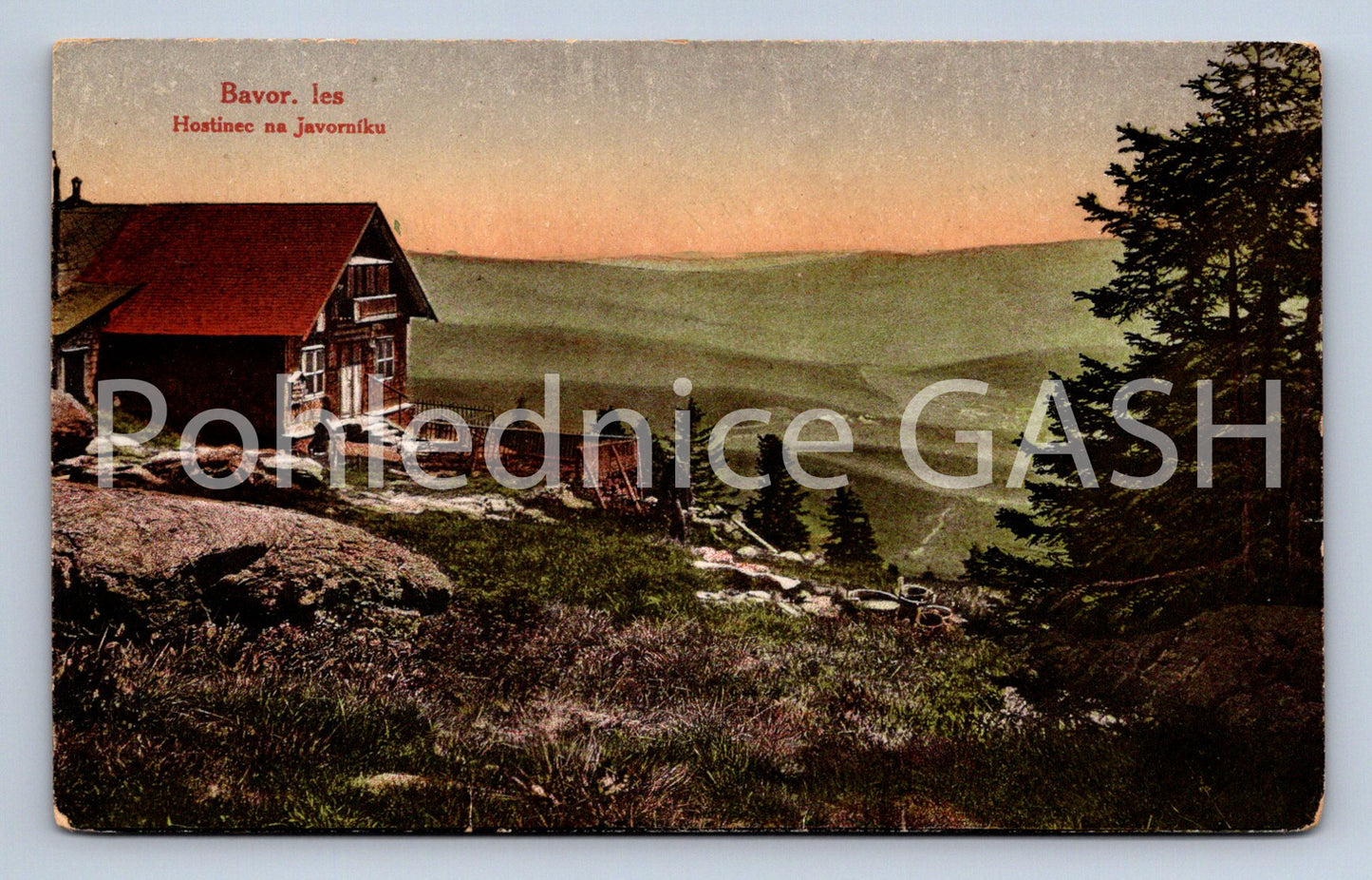 Postcard BAVARIAN FOREST (ST5684)