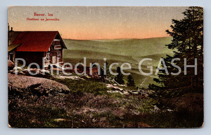 Postcard BAVARIAN FOREST (ST5684)