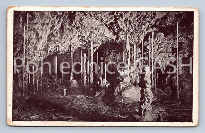 Postcard MACOCHA (ST5787)