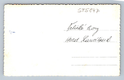 Postcard ORLICKÉ HORY - LAUDŠPERK CASTLE (ST5847)