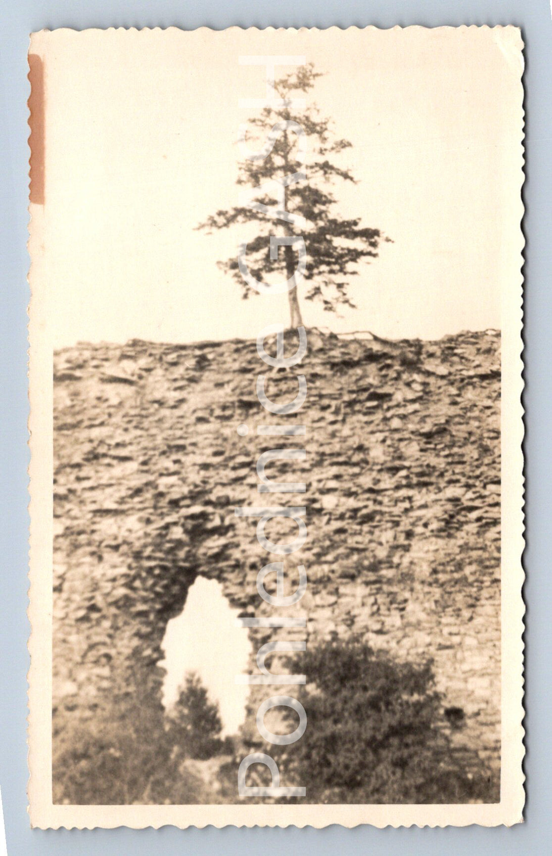 Postcard ORLICKÉ HORY - LAUDŠPERK CASTLE (ST5847)