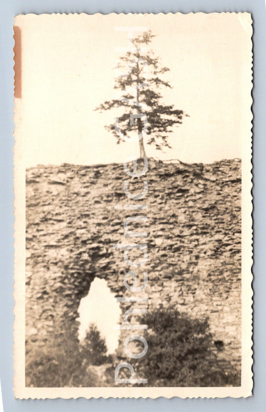 Postcard ORLICKÉ HORY - LAUDŠPERK CASTLE (ST5847)