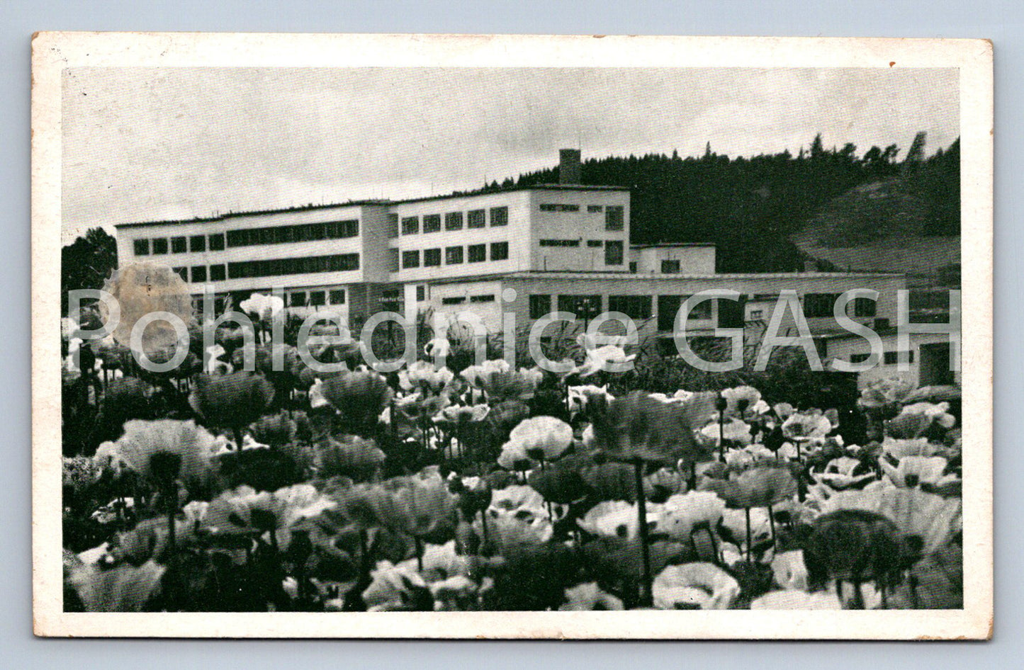 Postcard NEW CITY IN MORAVIA - HOSPITAL (ST5872)