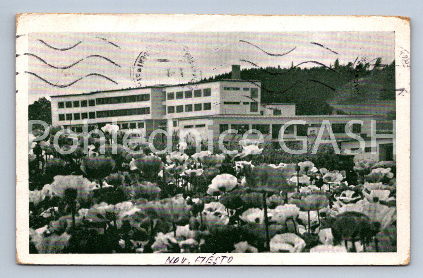 Postcard NEW CITY IN MORAVIA - HOSPITAL (ST5879)