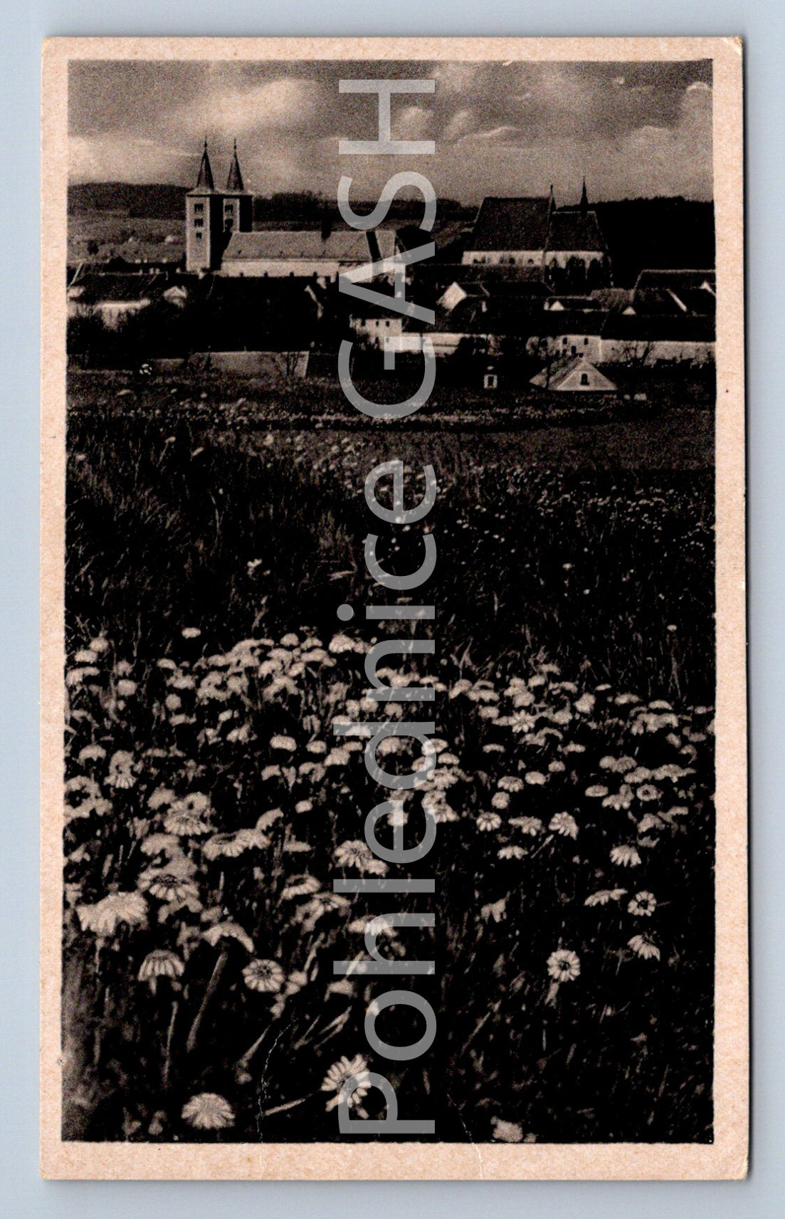 Postcard MONASTERY - MILEVSKO (ST5893)