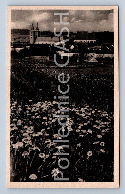 Postcard MONASTERY - MILEVSKO (ST5893)