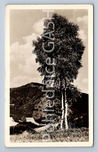 Postcard BOHEMIAN LANDSCAPE (ST5896)
