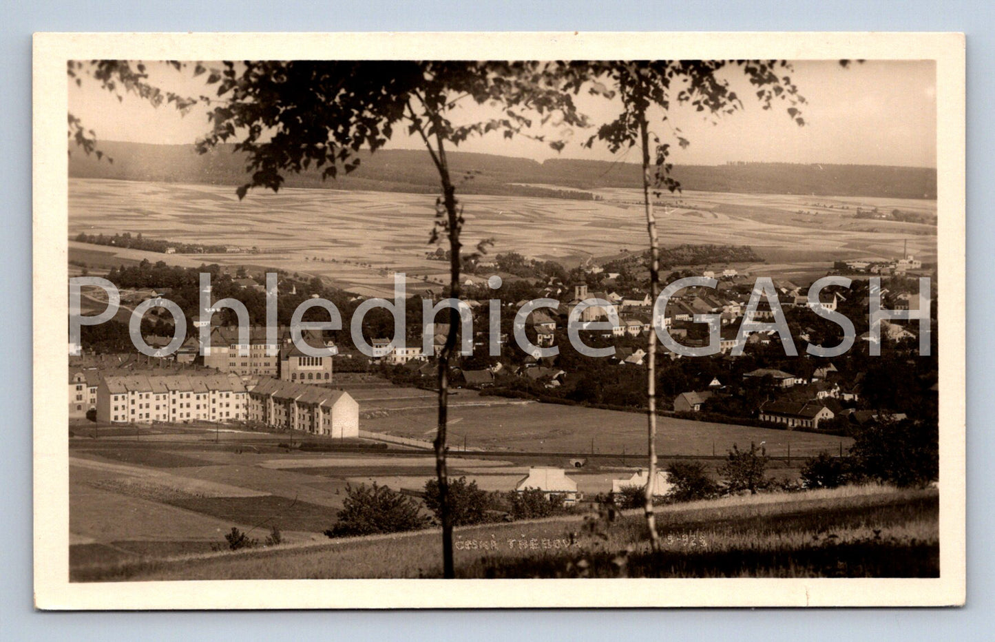 Postcard ČESKÁ TŘEBOVÁ (ST5933)