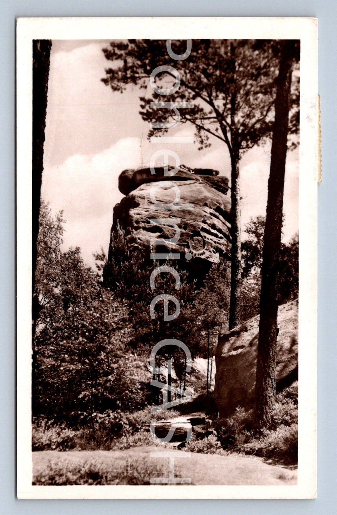 Postcard BOSCH PARADISE - SOKOL (ST5960)