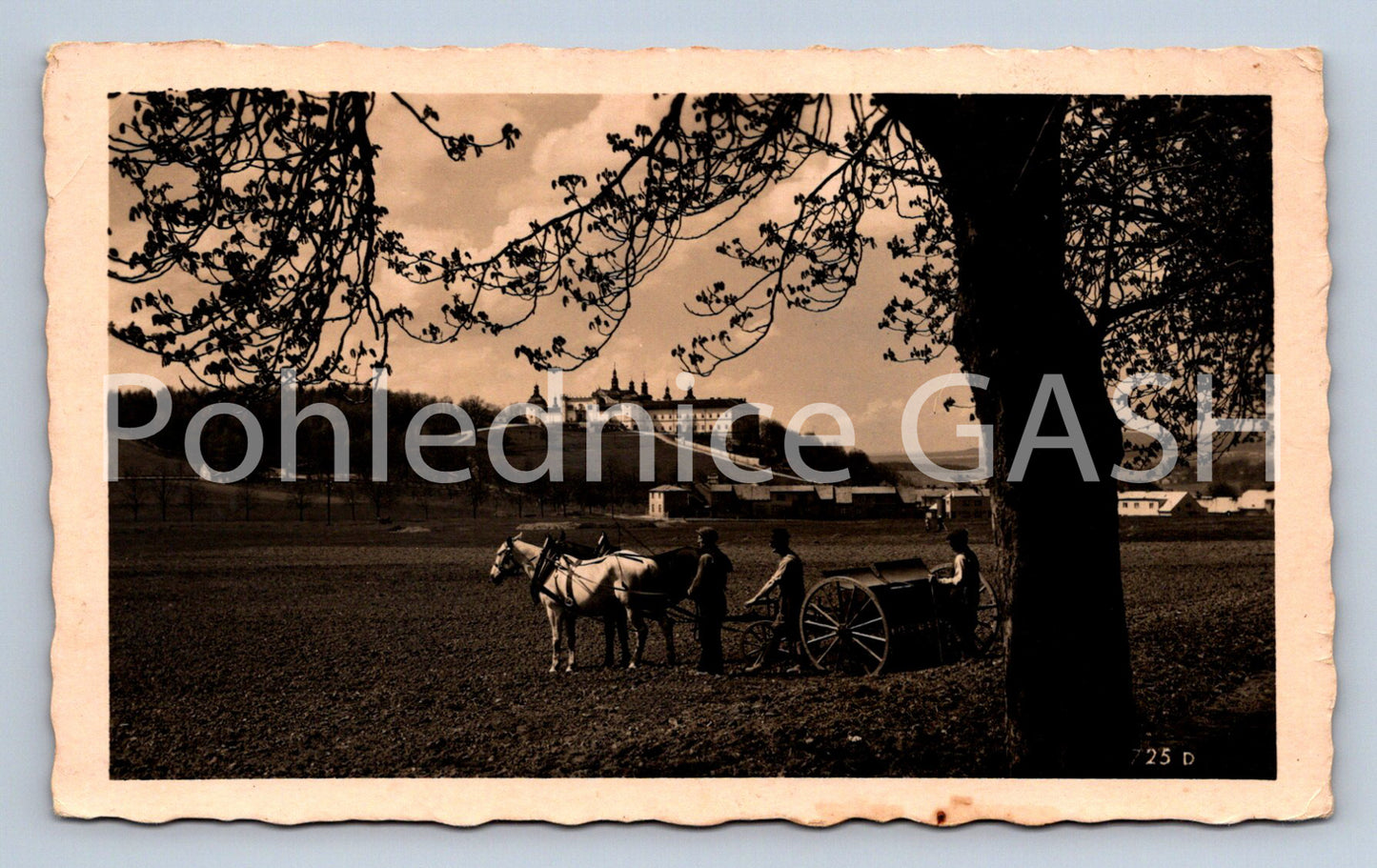 Postcard HOLY MOUNTAIN (ST5967)