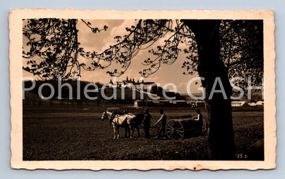 Postcard HOLY MOUNTAIN (ST5967)