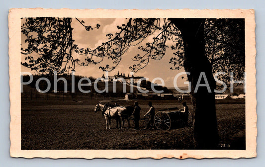 Postcard HOLY MOUNTAIN (ST5967)