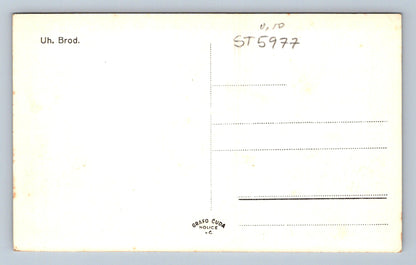 Postcard HUNGARIAN FORTRESS (ST5977)