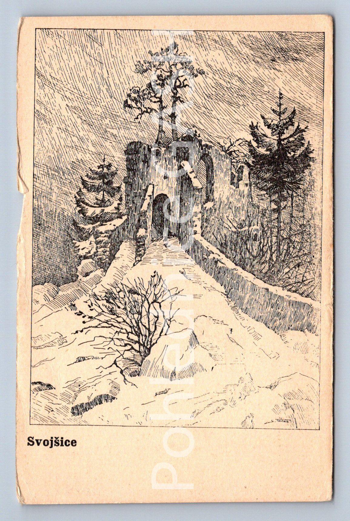 Postcard SVOJŠICE (ST6001)