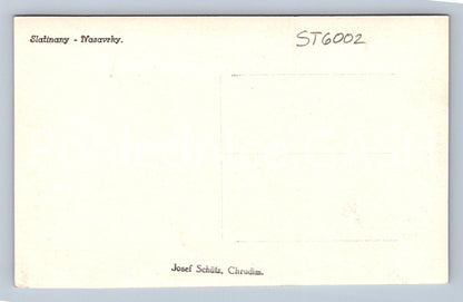 Postcard CAT'S CAVE NEAR SLATINAN (ST6002)