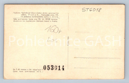 Postcard HOUSEWIFE (ST6018)