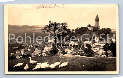 Postcard STRAMBERK (ST6050)