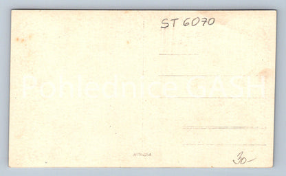 Postcard ŠUMAVA - Č. KRUMLOV CASTLE (ST6070)