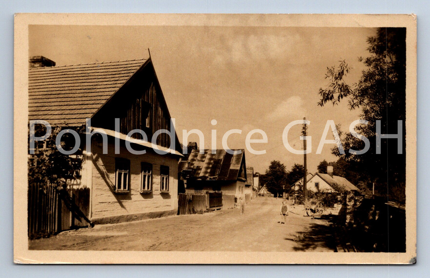 Postcard HIPPO (ST6102)