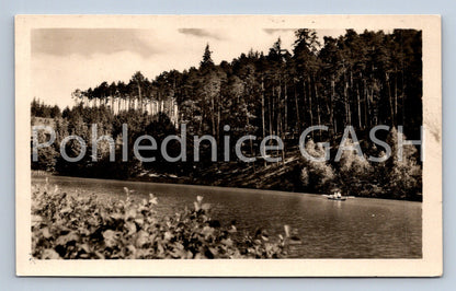 Postcard HROTOVICE (ST6110)