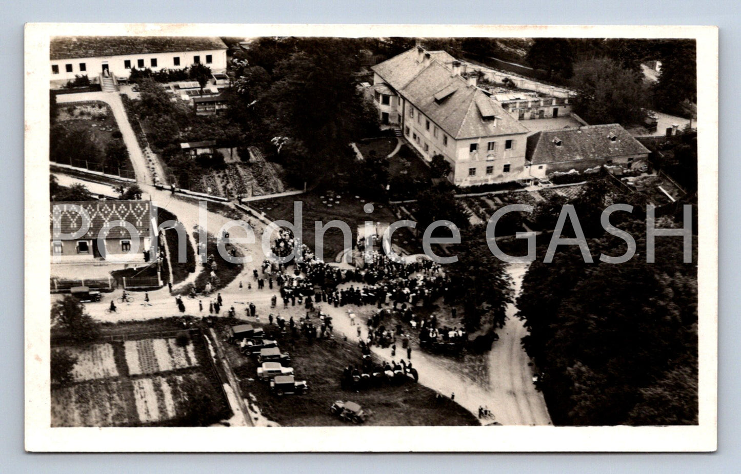 Postcard CREAM APPLE KINDS (ST6115)