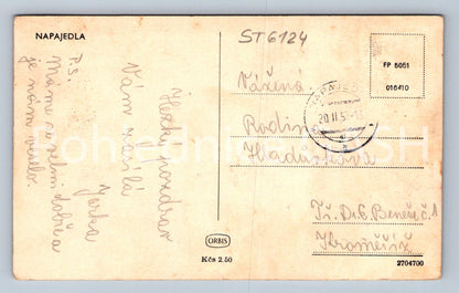 Postcard WATERING PLANTS (ST6124)