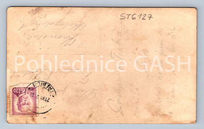 Postcard TŘEBÍC (ST6127)