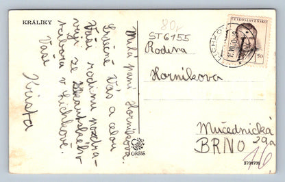 Postcard RABBITS (ST6155)