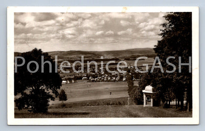 Postcard RABBITS (ST6155)