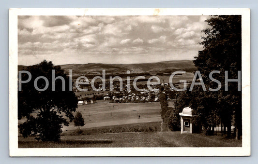 Postcard RABBITS (ST6155)