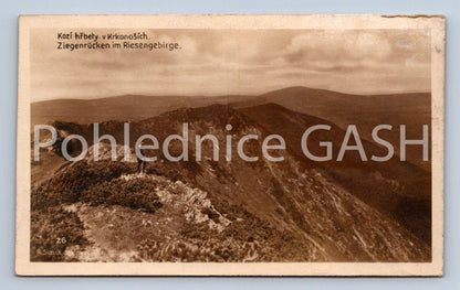Postcard GOAT BACKS IN THE KRKONOSZY Mts. (ST6197)