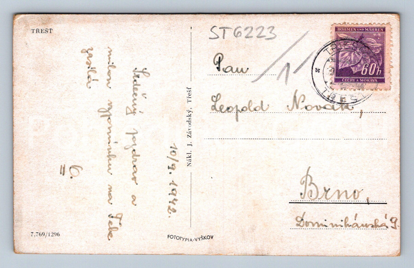 Postcard TREE (ST6223)