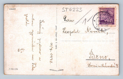 Postcard TREE (ST6223)