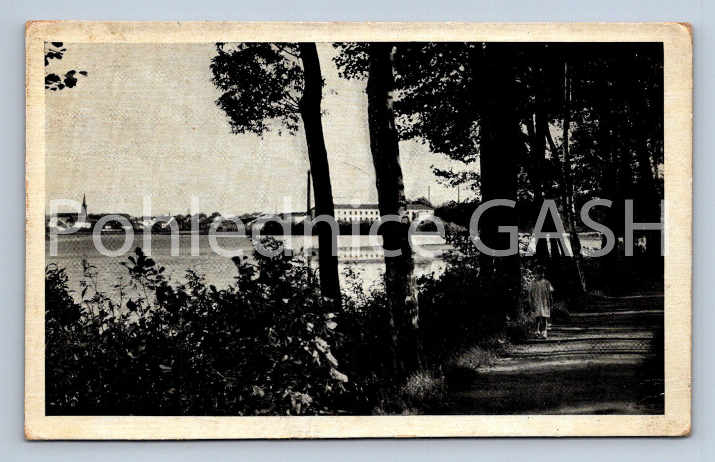 Postcard TREE (ST6223)