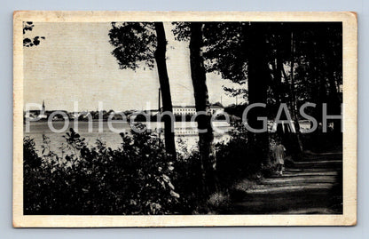 Postcard TREE (ST6223)