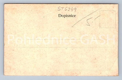 Postcard NEW CASTLE AT VYS. MÝTO - COLLAGE (ST6249)